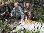 Khu bảo tồn Trung Quốc nửa mừng nửa lo vì “hổ Putin”